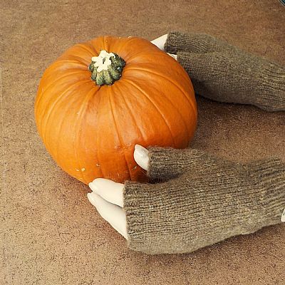 pumpkin with handknit gloves from roses workshop
